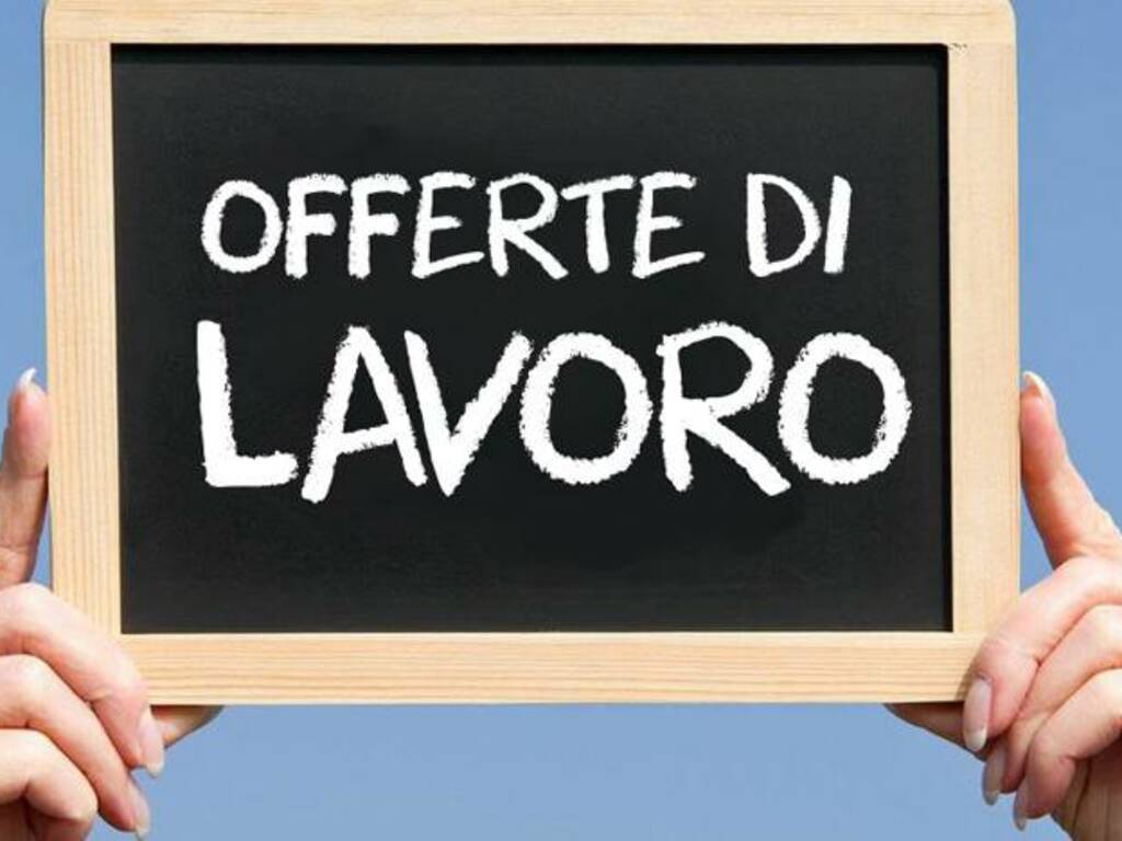 Offerte di lavoro - Gennaio 2025